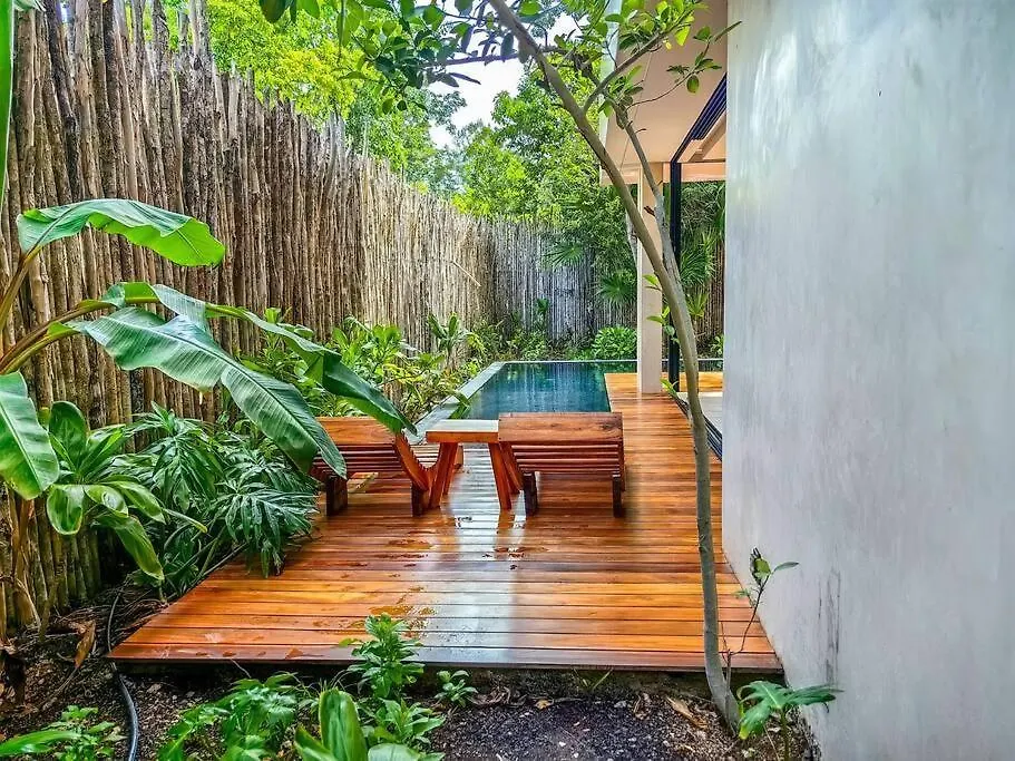 Luxury Rentals In Tulum 0*,